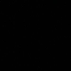 Meet your Posher, Dalia